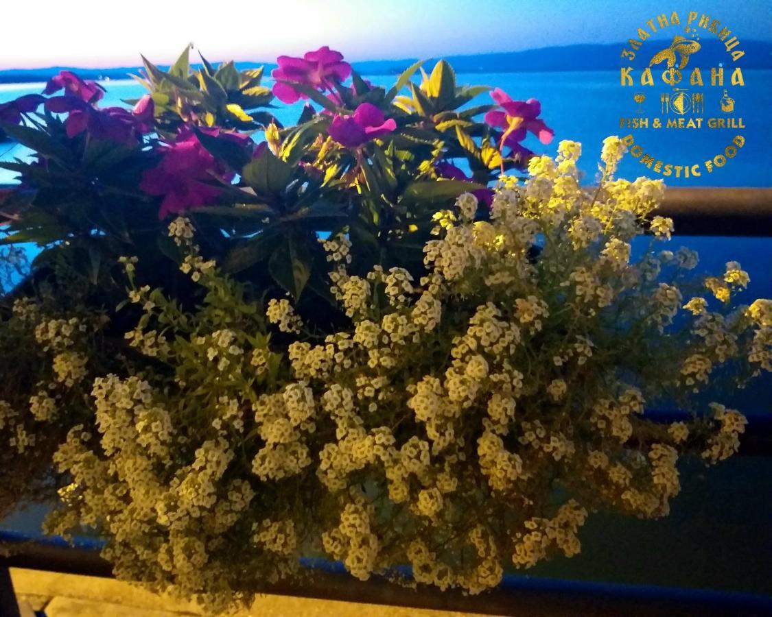 Apartmán Zlatna Ribica Golubac Exteriér fotografie