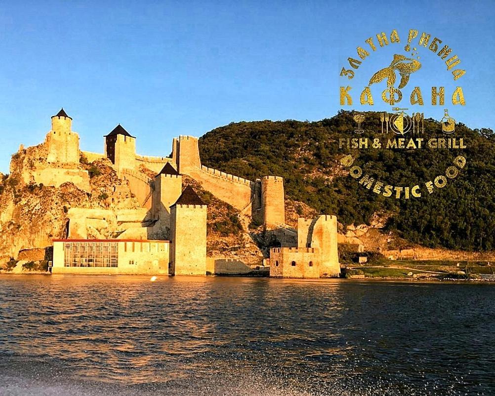 Apartmán Zlatna Ribica Golubac Exteriér fotografie